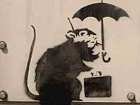 фото Одна из знаменитых крыс Бэнкси